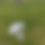 Thumbnail: Parachute - Aerodynamics