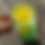 Thumbnail: The Pepper Harvest Challenge